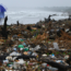1 Million of Earth’s 8 Million Species Face Extinction Due to Human Activity